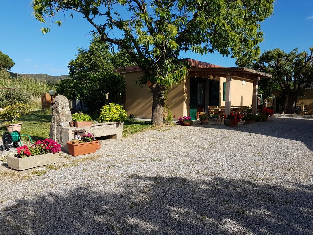 Apartment S. Agostino *