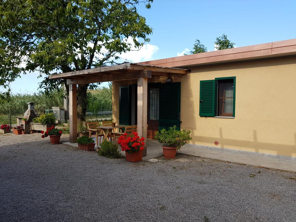 Apartment S. Agostino *