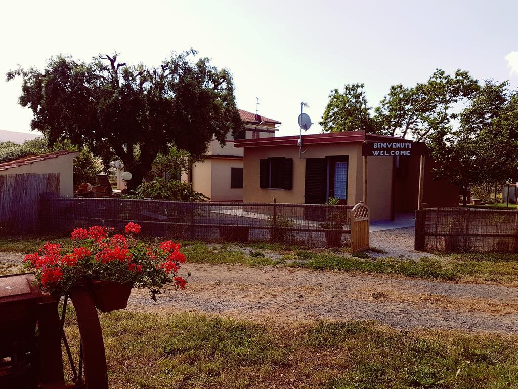 S. Agostino Apartment Rocchette (Tuscany)